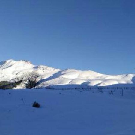 Les Marmottes Daire Arpajon-sur-Cere Dış mekan fotoğraf