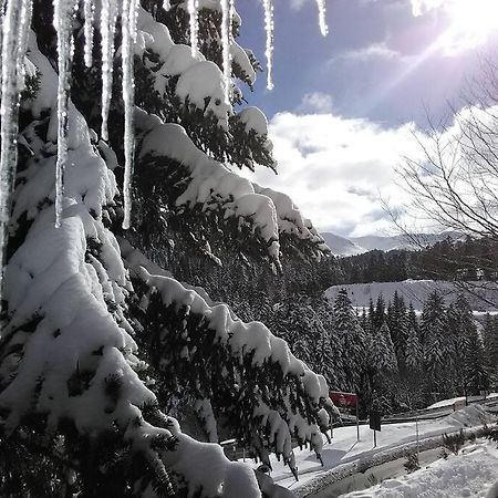 Les Marmottes Daire Arpajon-sur-Cere Dış mekan fotoğraf