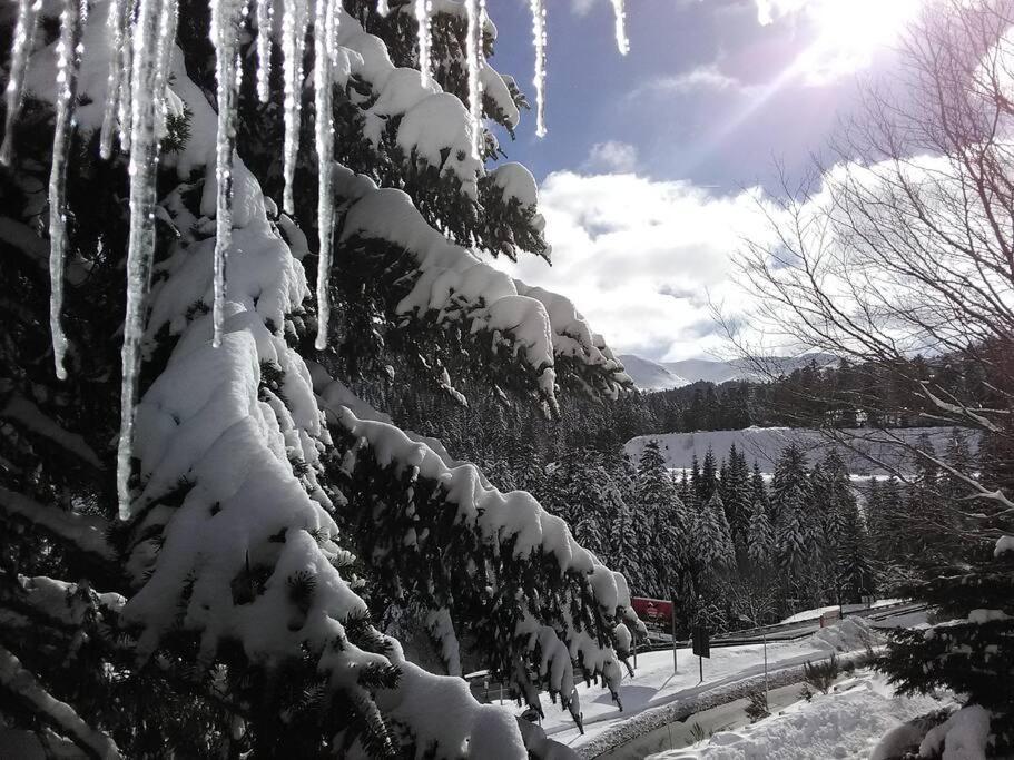 Les Marmottes Daire Arpajon-sur-Cere Dış mekan fotoğraf